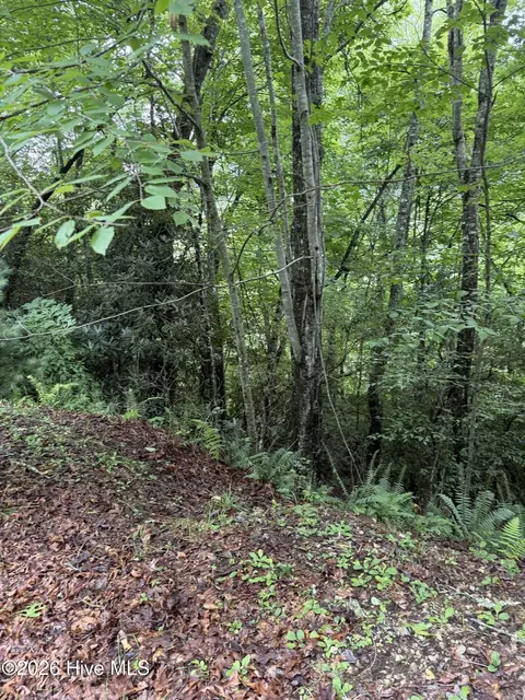 lot14 Mountain Vista Ln, Topton, NC 28781