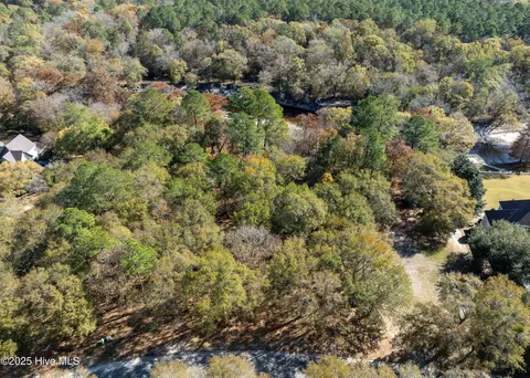 167 River Ridge Dr, Wallace, NC 28466 photo 16