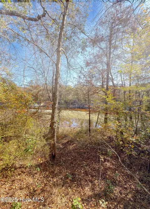 167 River Ridge Dr, Wallace, NC 28466 photo 35