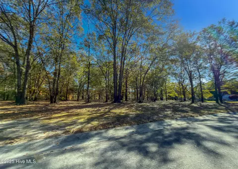 167 River Ridge Dr, Wallace, NC 28466 photo 37