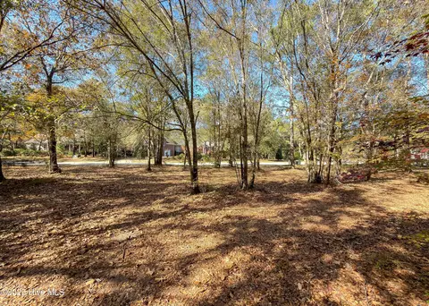 167 River Ridge Dr, Wallace, NC 28466 photo 12