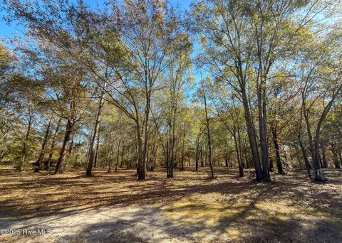 167 River Ridge Dr, Wallace, NC 28466 photo 36
