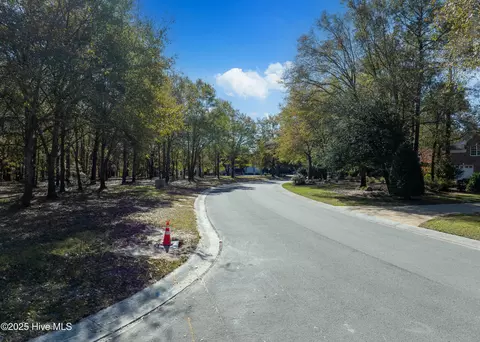 167 River Ridge Dr, Wallace, NC 28466 photo 9
