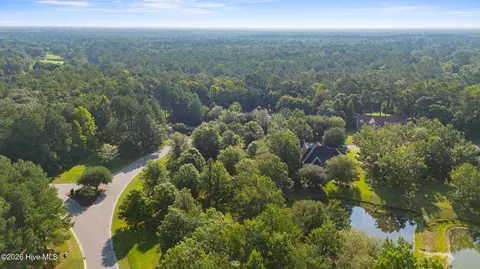 110 Falling Water Way, Wallace, NC 28466 photo 14