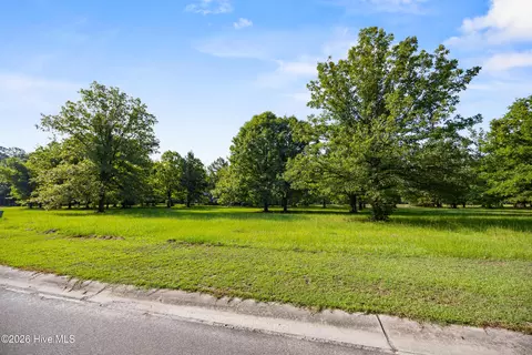 110 Falling Water Way, Wallace, NC 28466 photo 7