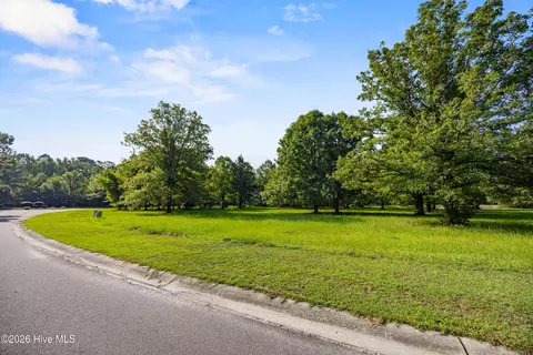 110 Falling Water Way, Wallace, NC 28466 photo 8