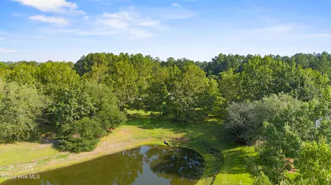 110 Falling Water Way, Wallace, NC 28466 photo 11
