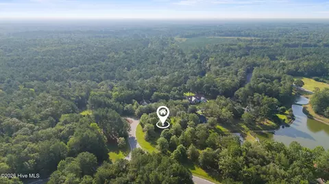 110 Falling Water Way, Wallace, NC 28466 photo 17