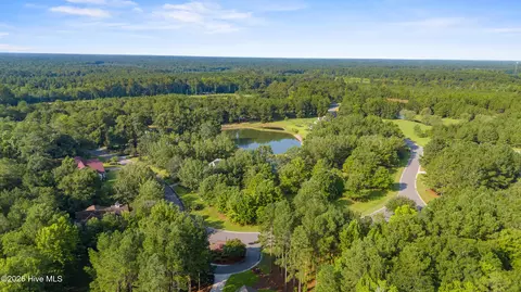 110 Falling Water Way, Wallace, NC 28466 photo 12