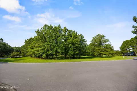 110 Falling Water Way, Wallace, NC 28466 photo 4