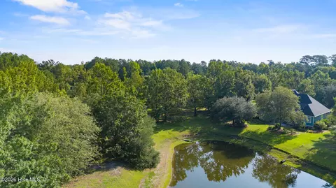 110 Falling Water Way, Wallace, NC 28466 photo 9