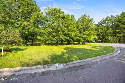 110 Falling Water Way, Wallace, NC 28466 photo 6