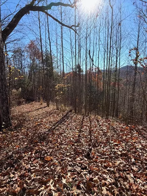 lot13 View Ridge Trl, Murphy, NC 28906 photo 5