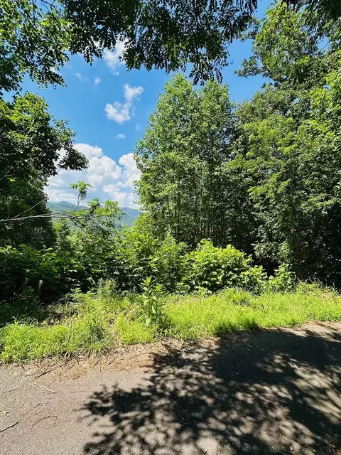 lot13 View Ridge Trl, Murphy, NC 28906 photo 9