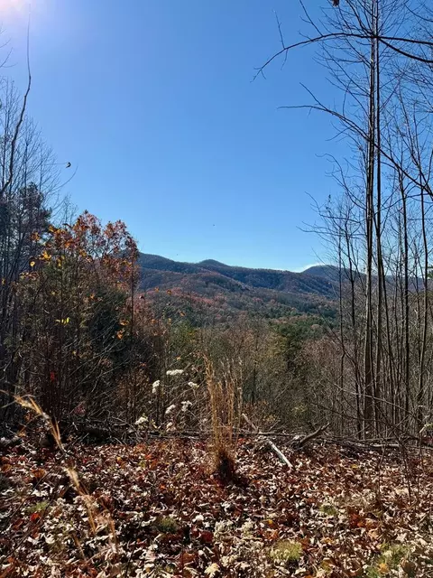 lot13 View Ridge Trl, Murphy, NC 28906 photo 8