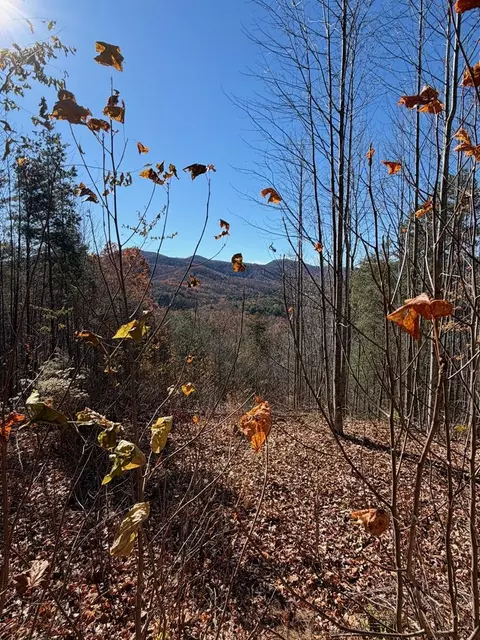 lot13 View Ridge Trl, Murphy, NC 28906 photo 7