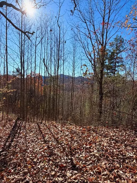 lot13 View Ridge Trl, Murphy, NC 28906 photo 6