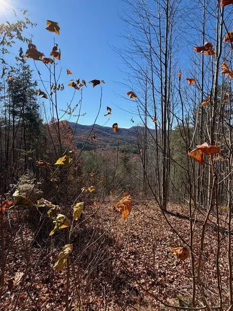 lot14 View Ridge Trl, Murphy, NC 28906 photo 6