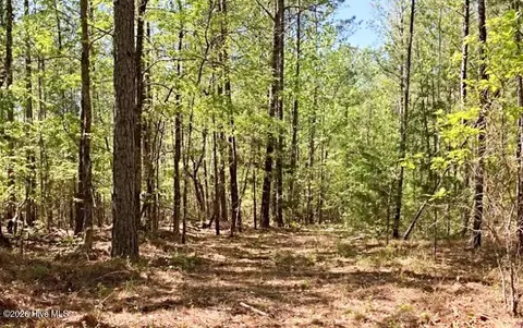6630 Washington Rd, Appling, GA 30802 photo 2