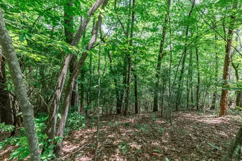 lot56 Indian Rock Spgs, Murphy, NC 28906 photo 18