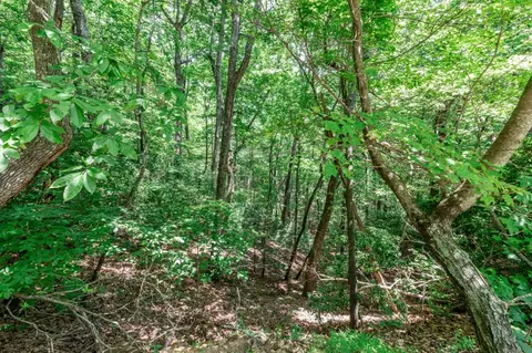 lot56 Indian Rock Spgs, Murphy, NC 28906 photo 9