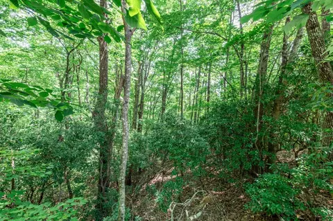 lot56 Indian Rock Spgs, Murphy, NC 28906 photo 12