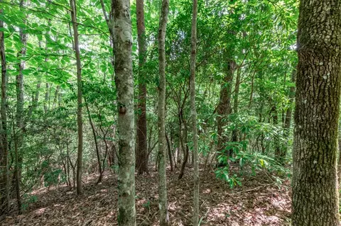 lot56 Indian Rock Spgs, Murphy, NC 28906 photo 16