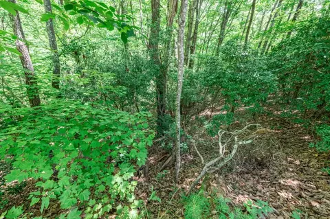 lot56 Indian Rock Spgs, Murphy, NC 28906 photo 14