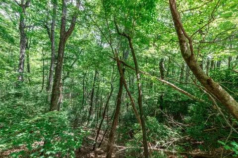 lot56 Indian Rock Spgs, Murphy, NC 28906 photo 10