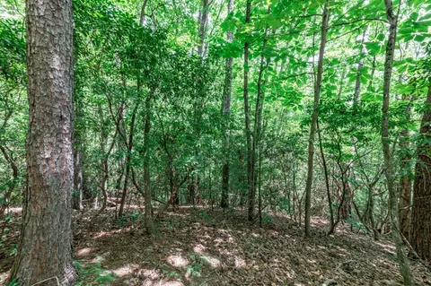 lot56 Indian Rock Spgs, Murphy, NC 28906 photo 15