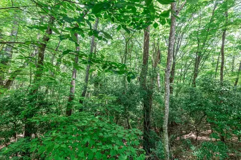 lot56 Indian Rock Spgs, Murphy, NC 28906 photo 13