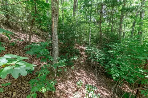 lot56 Indian Rock Spgs, Murphy, NC 28906 photo 11