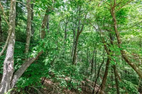 lot56 Indian Rock Spgs, Murphy, NC 28906 photo 8