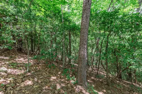 lot56 Indian Rock Spgs, Murphy, NC 28906 photo 17