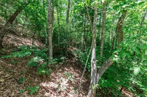 lot56 Indian Rock Spgs, Murphy, NC 28906 photo 7