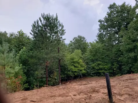 26 Kalanu Trl, Murphy, NC 28906 photo 15