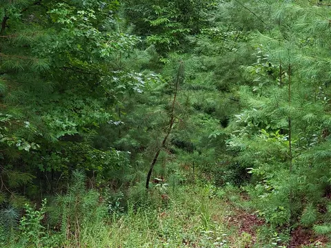 26 Kalanu Trl, Murphy, NC 28906 photo 8