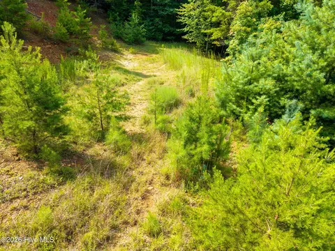 26 Kalanu Trl, Murphy, NC 28906 photo 23