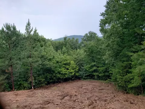 26 Kalanu Trl, Murphy, NC 28906 photo 26