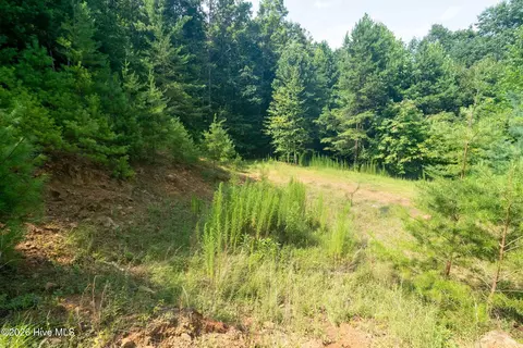 26 Kalanu Trl, Murphy, NC 28906 photo 21