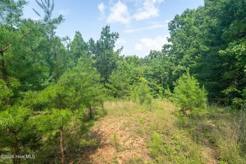 26 Kalanu Trl, Murphy, NC 28906 photo 13