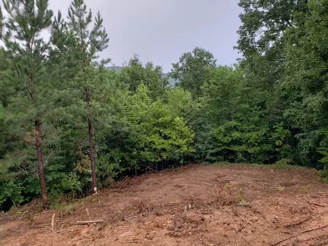 26 Kalanu Trl, Murphy, NC 28906 photo 17