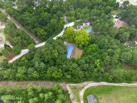 View/Area - 123 Hailey Ames Dr, Hoffman, NC 28347 photo 2 of 4