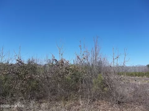 tbd Boat Ramp Rd, New Hope, NC 27944