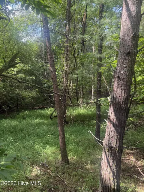 18 19 Joyce Rd, Murphy, NC 28906 photo 4