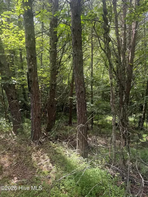 18 19 Joyce Rd, Murphy, NC 28906 photo 6