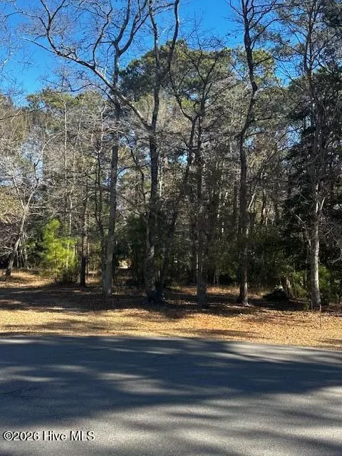 141 Eagle Ct SW, Supply, NC 28462 photo 2