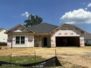 Other - 143 Firethorn Cir, Wallace, NC 28466 photo 2 of 9