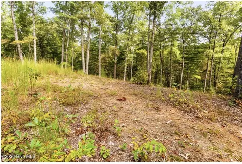 tbd Nature Valley Trl, Murphy, NC 28906 photo 7