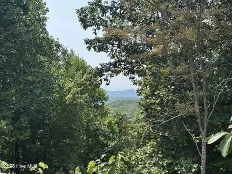 33 Great Sky Trl, Murphy, NC 28906 photo 8